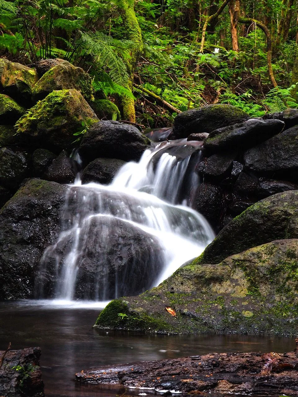 Agua Dulce
